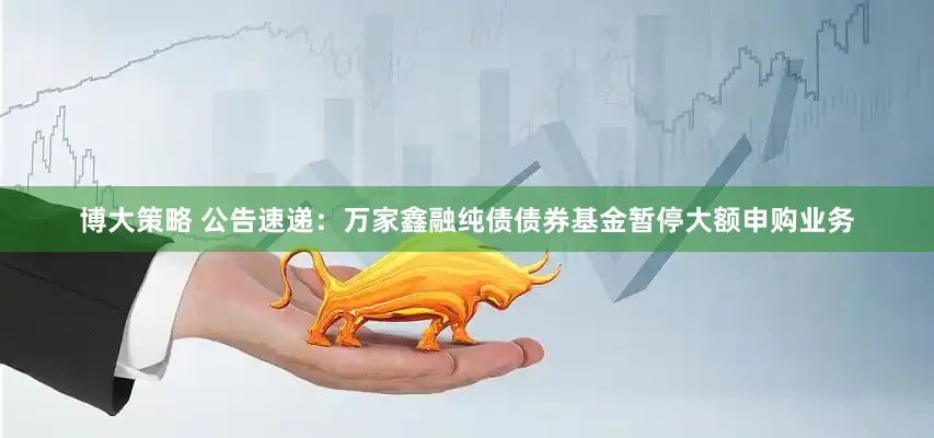 博大策略 公告速递：万家鑫融纯债债券基金暂停大额申购业务