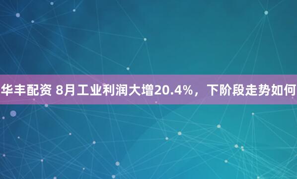 华丰配资 8月工业利润大增20.4%，下阶段走势如何